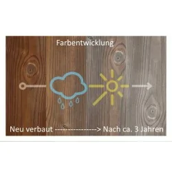 Kebony Character Terrassendiele TSS 28x120x4700