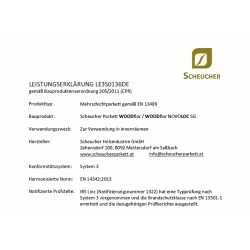 Scheucher Leistungserklärung