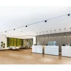 Abacus Akustika Akustikpaneele Eiche Puro furniert